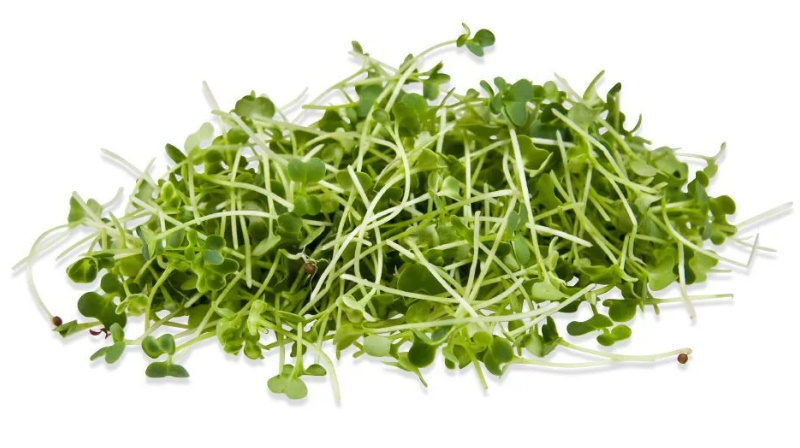 ростки брокколи broccoli.jpg