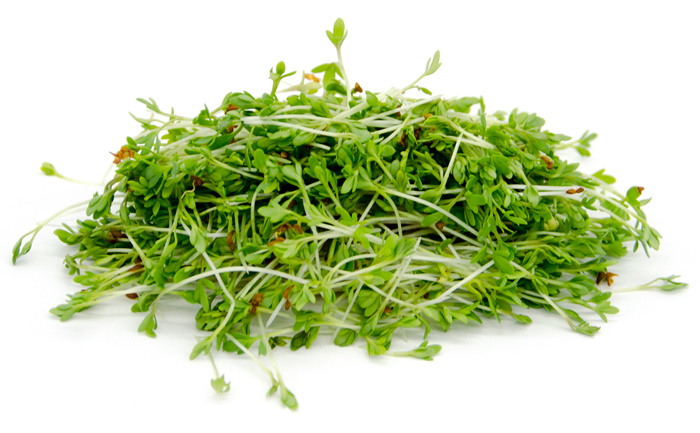 ростки кресс-салата water-cress.jpg