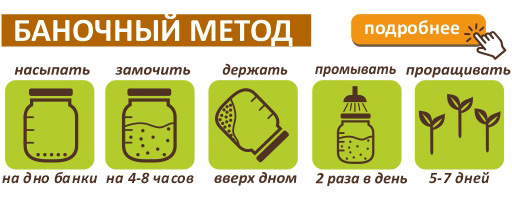 brokkoli-banochnii-metod.jpg brokkoli-banochnii-metod.jpg