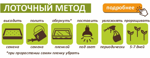 kress-salat-lotochnii-metod.jpg kress-salat-lotochnii-metod.jpg